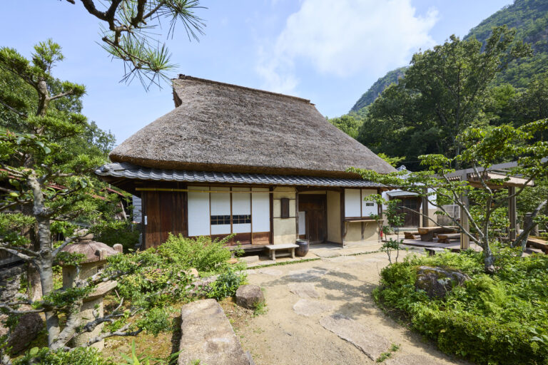 サムネイル画像