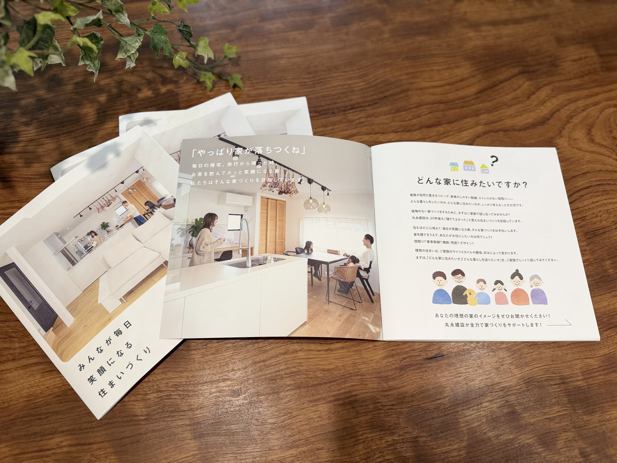 カタログリニューアル！